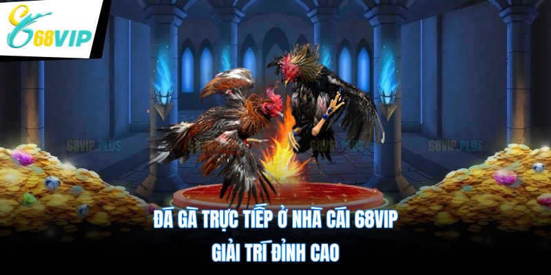 Đá Gà Trực Tiếp Ở Nhà Cái 68VIP