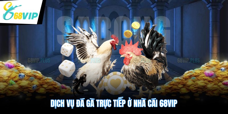 Dịch vụ đá gà trực tiếp ở nhà cái 68VIP